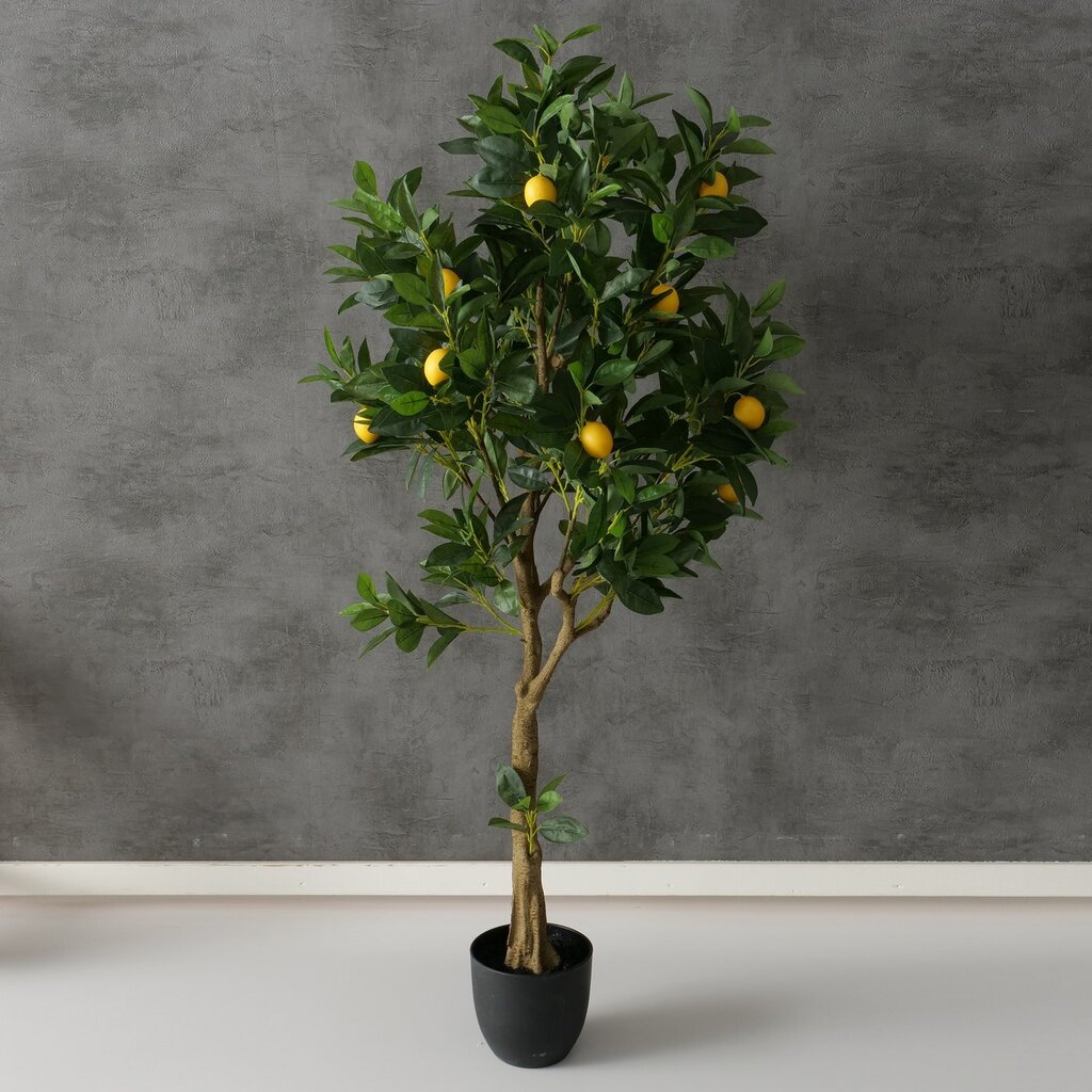 Deko Zitronenbaum