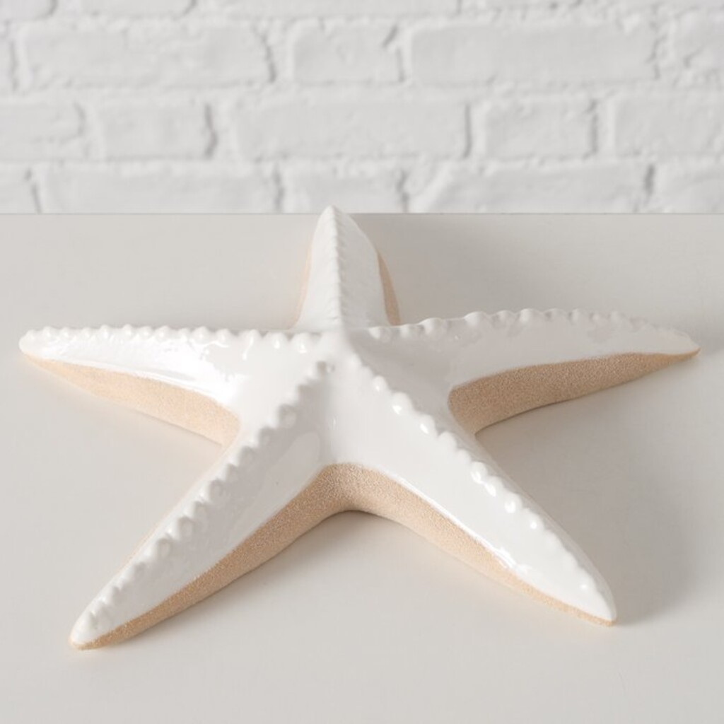 Dekoaufsteller Seestern Shelby