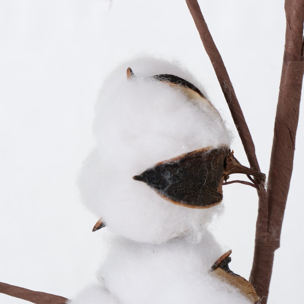 Dekozweig Baumwolle, künstlich