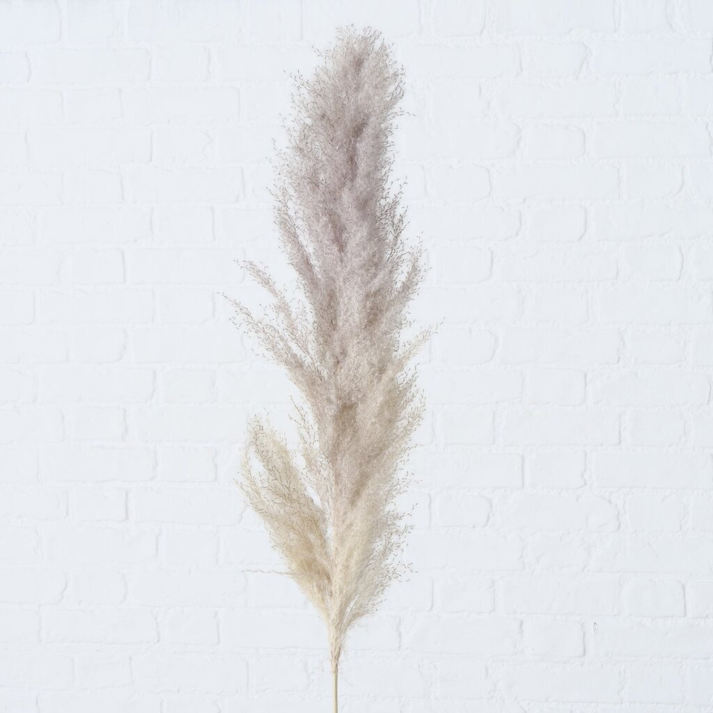 Dekozweig Pampasgras dreiteilig