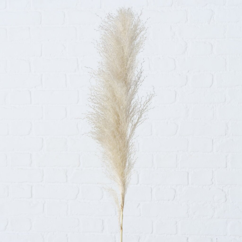 Dekozweig Pampasgras dreiteilig
