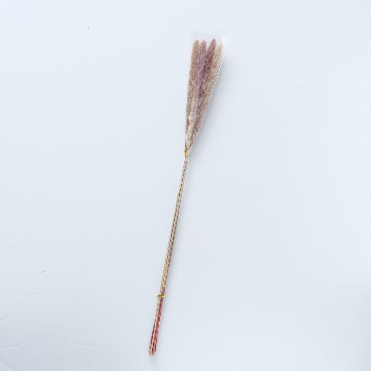 Dekozweig Pampasgras Natur 6 tlg.