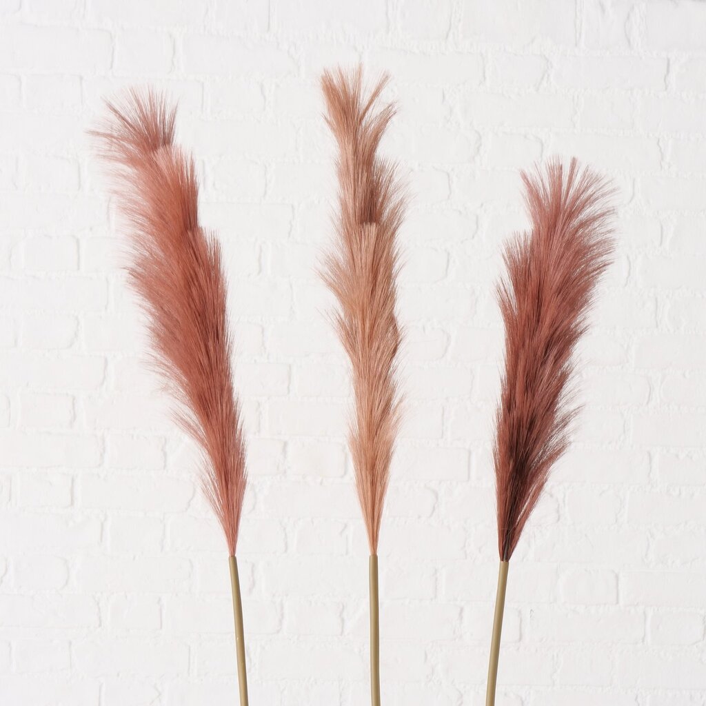 Dekozweig Pampasgras Phragmites australis