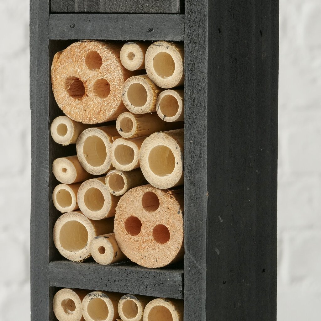 Insektenhotel Bieny