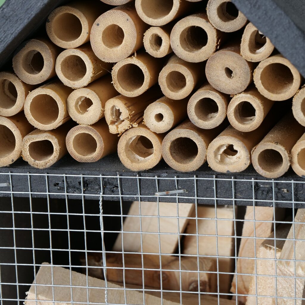 Insektenhotel Bieny