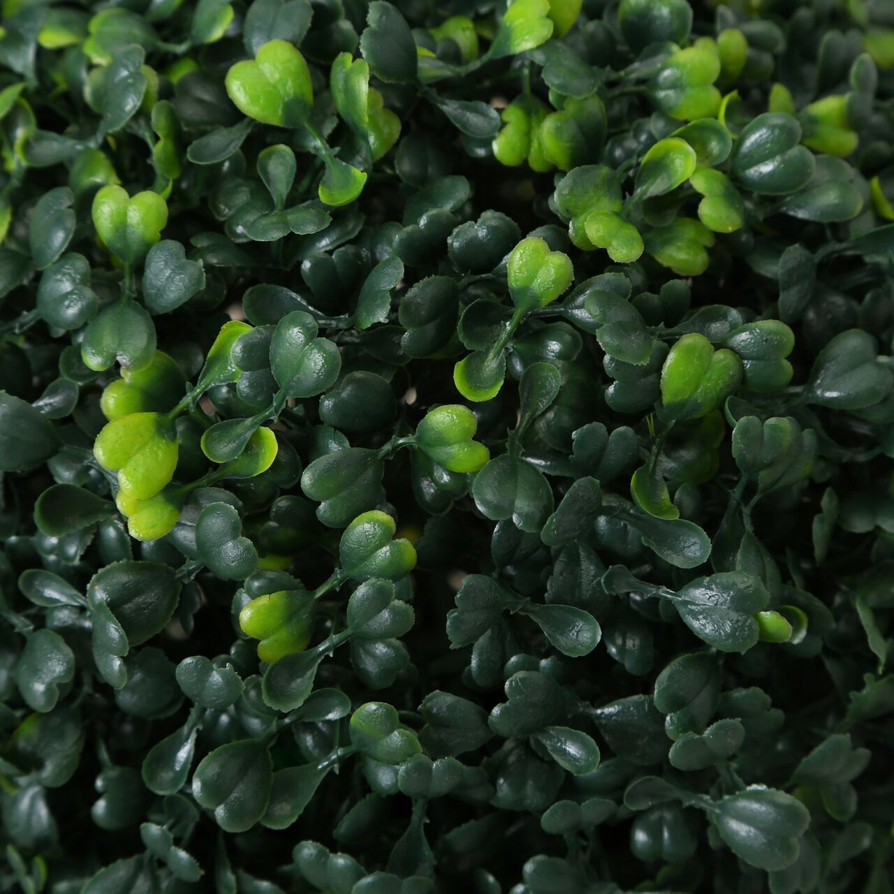 Kunstpflanze Buchsbaum klein