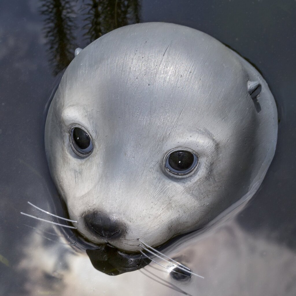 Boltze Schwimmfigur Poggy Seehund online kaufen bei SKANDEKO (Ansicht 2)