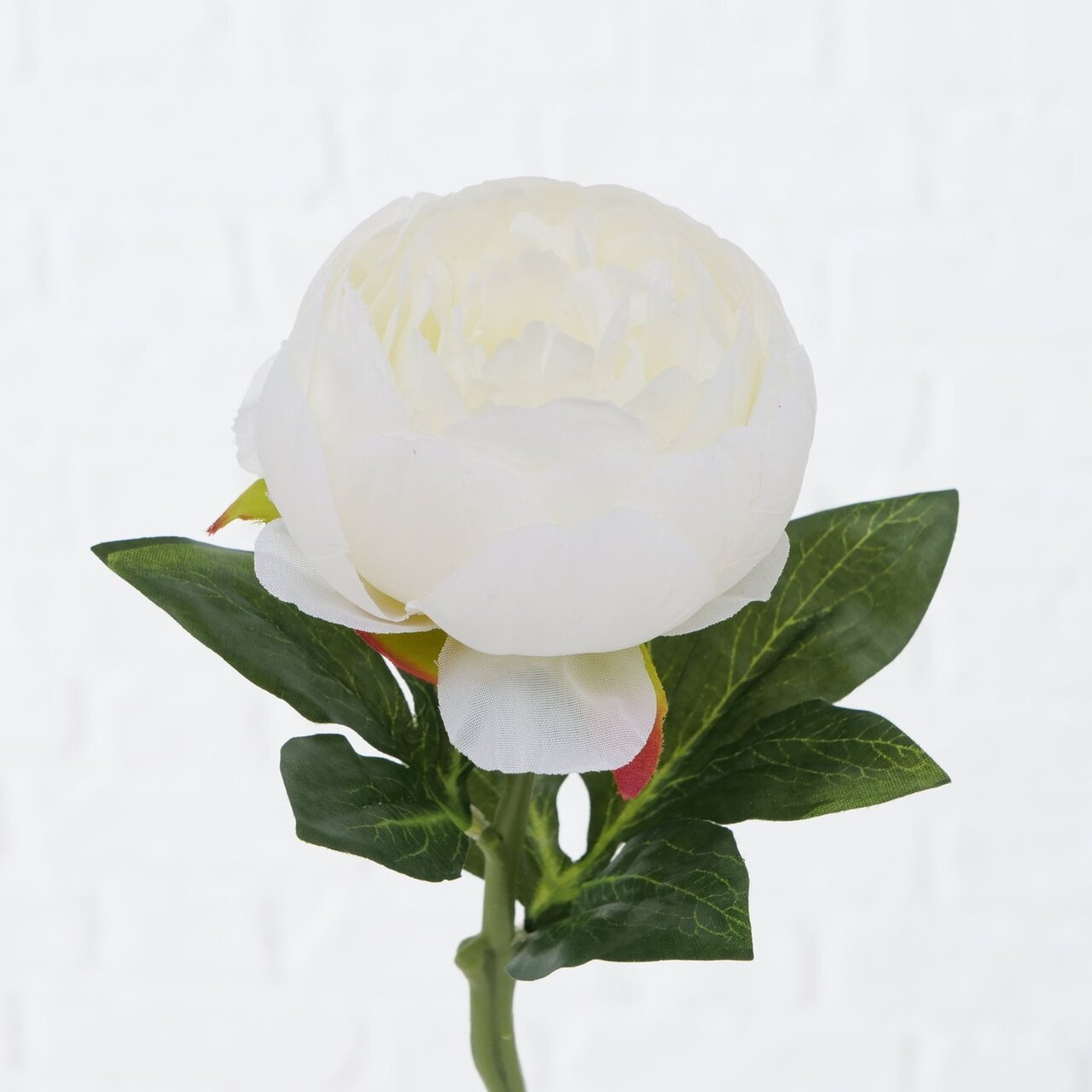 Stielblume Bauernrose