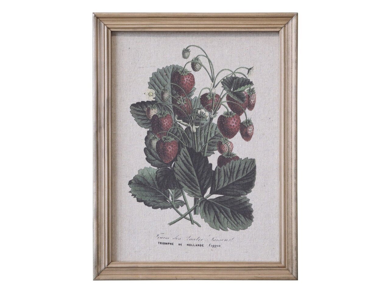 Chic Antique Bild mit Erdbeeren Motiv und Naturrahmen Preview Image