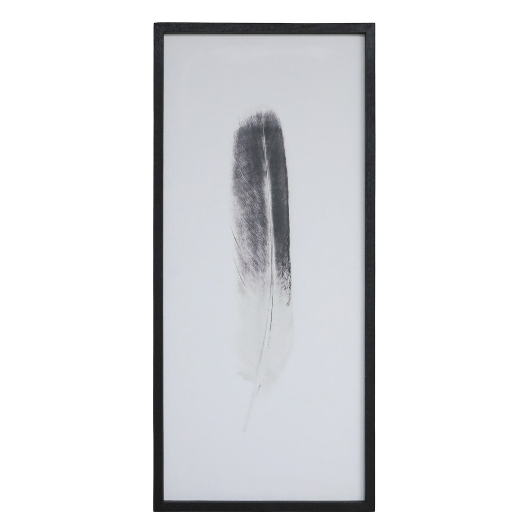 Bild mit Federnmotiv und schwarzem Rahmen