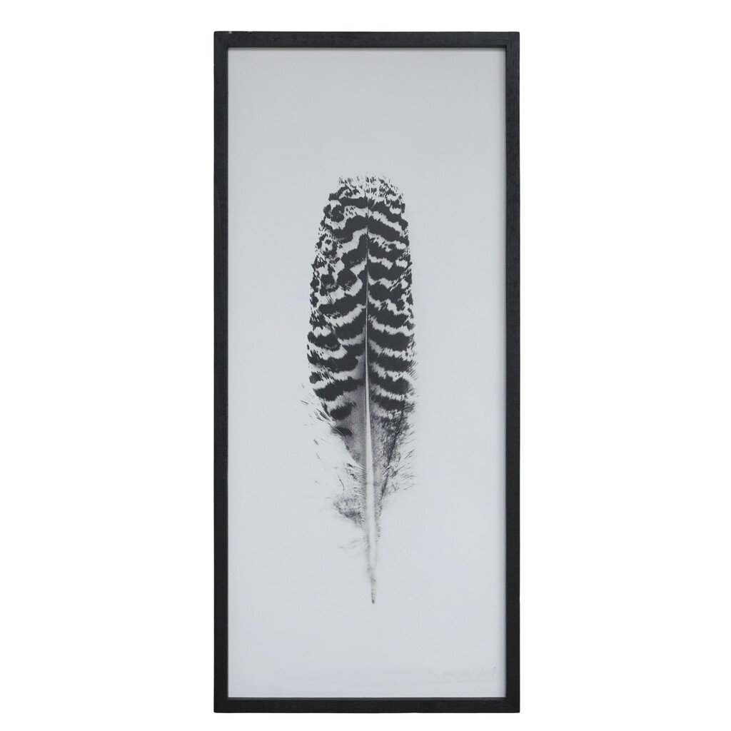Bild mit Federnmotiv und schwarzem Rahmen