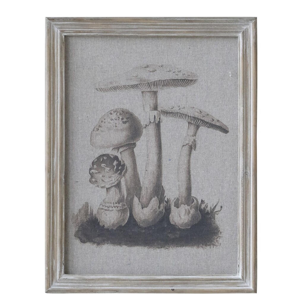 Bild mit Pilzmotiv und Naturrahmen