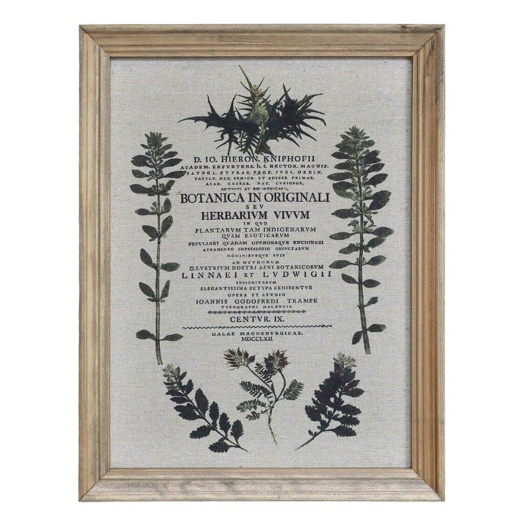 Chic Antique Bild mit wilden Blumen und Naturrahmen Preview Image