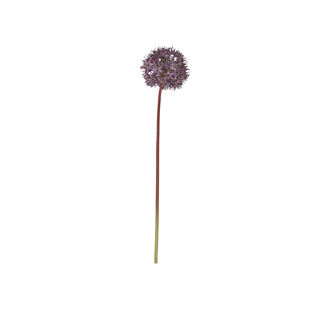 Chic Antique Fleur Allium