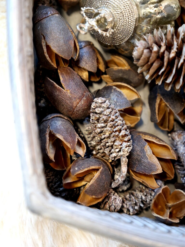 Chic Antique Fleur getrocknete Zapfen klein Preview Image