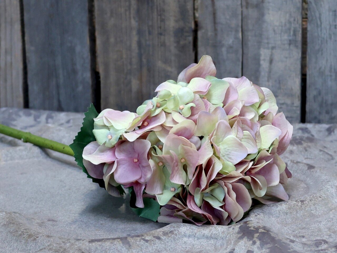 Chic Antique Fleur Hortensie mit Blättern Preview Image