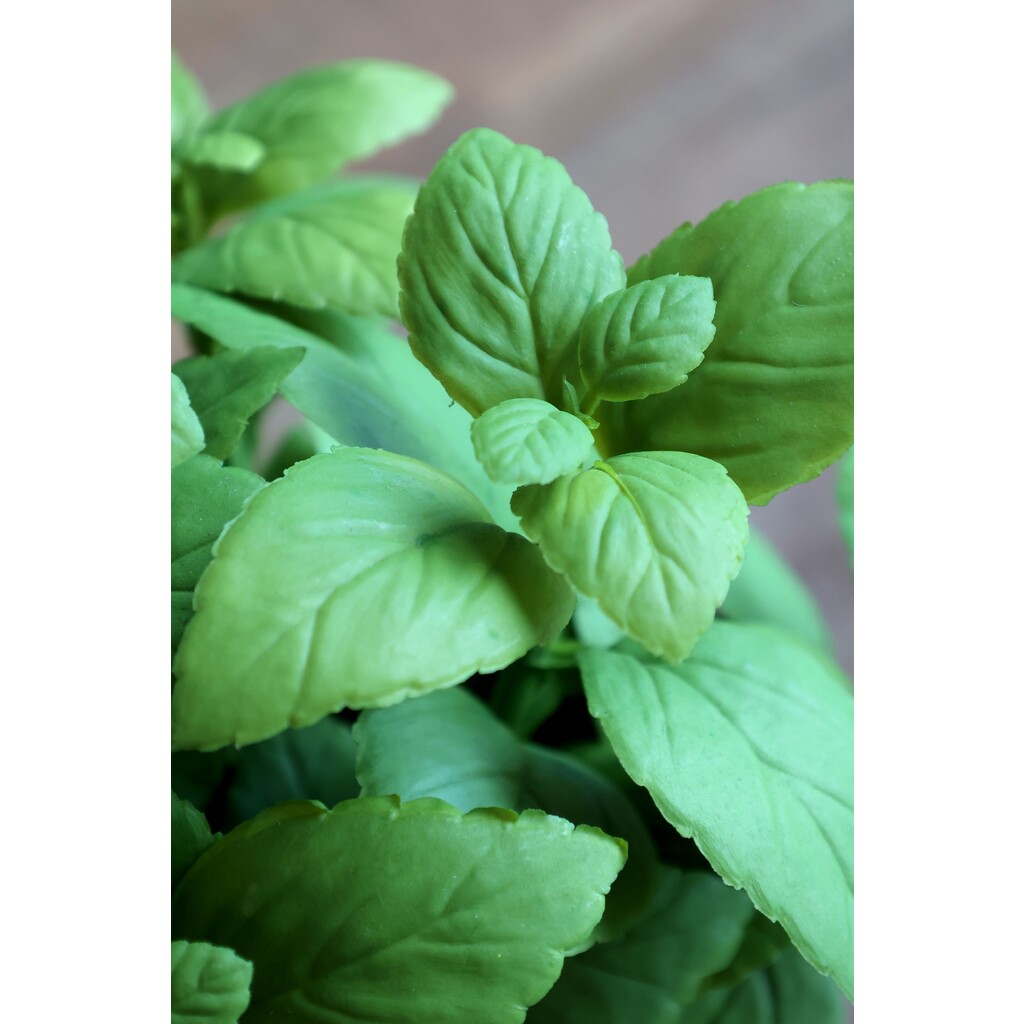 Fleur künstliche Minze