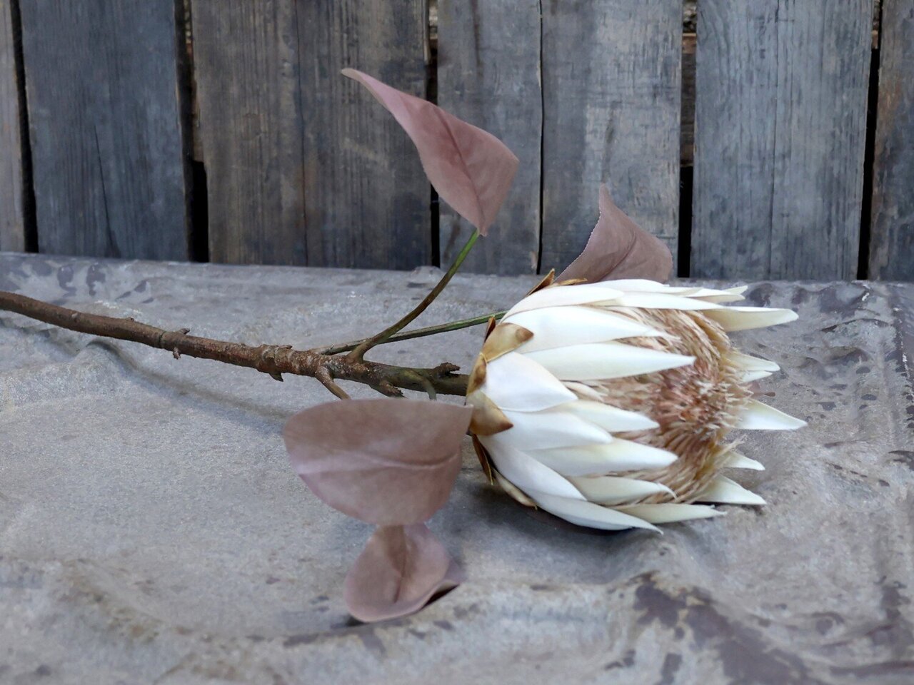 Impressionen zu Chic Antique Fleur Kunstblume Protea, Bild 1