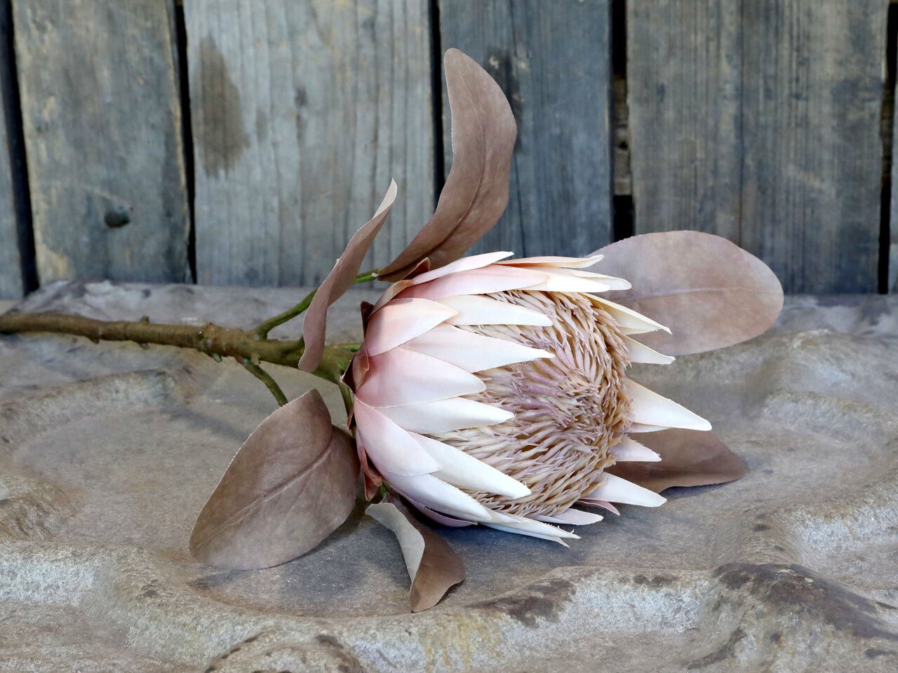 Impressionen zu Chic Antique Fleur Kunstblume Protea, Bild 6