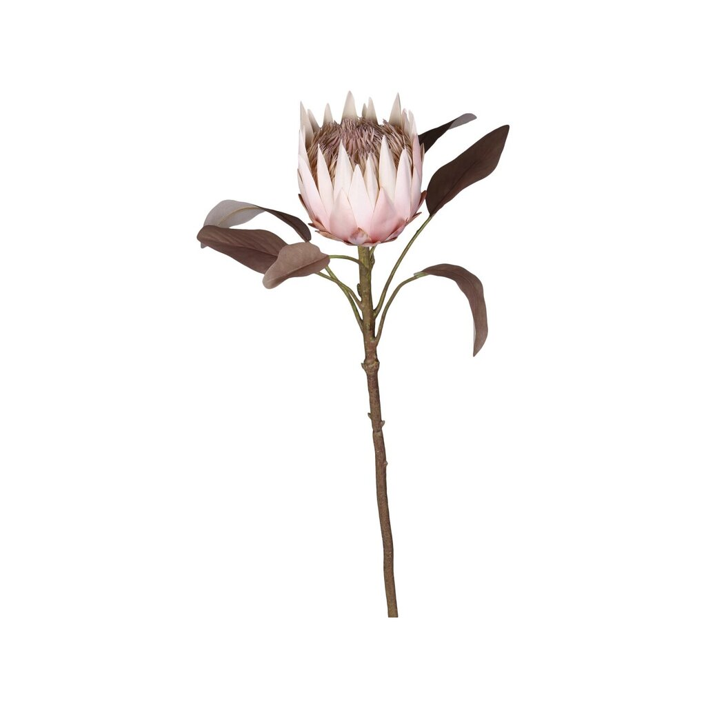 Chic Antique Fleur Kunstblume Protea Preview Image