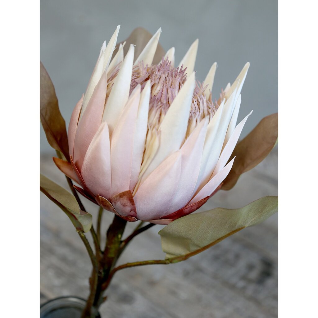 Fleur Kunstblume Protea