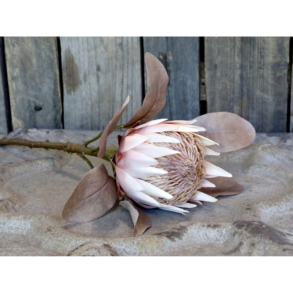 Fleur Kunstblume Protea