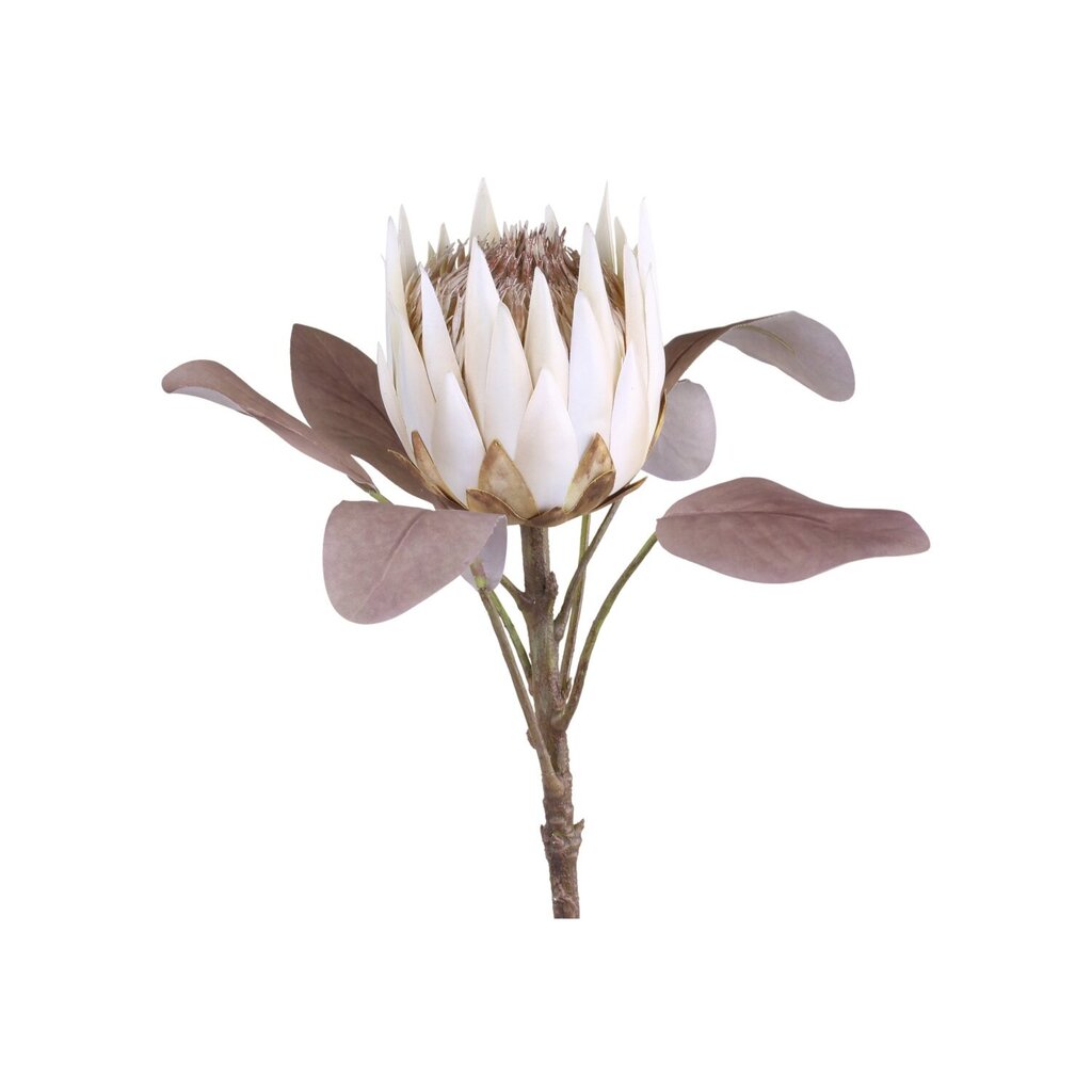 Chic Antique Fleur Kunstblume Protea Preview Image