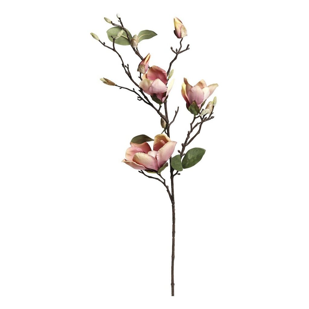 Chic Antique Fleur Multi Magnolia Preview Image
