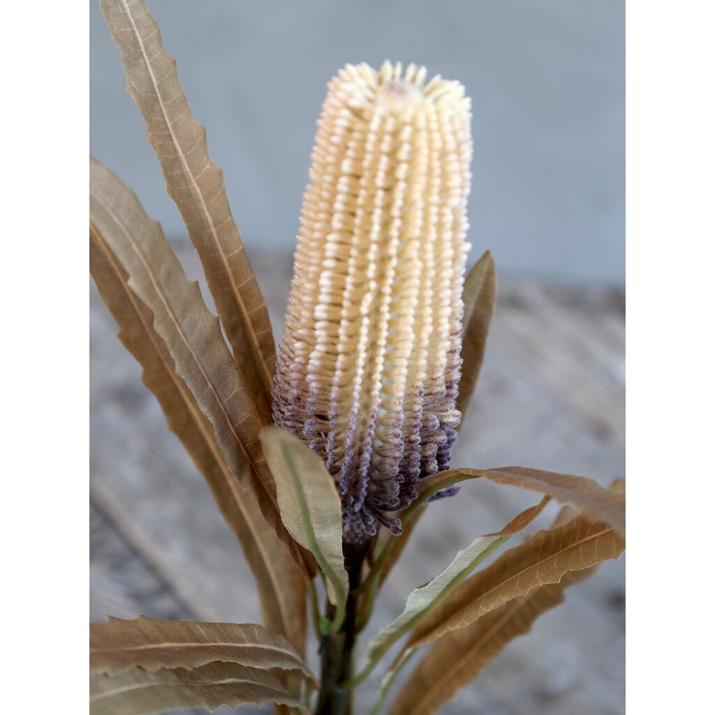 Fleur Künstliche Protea Kunstblume