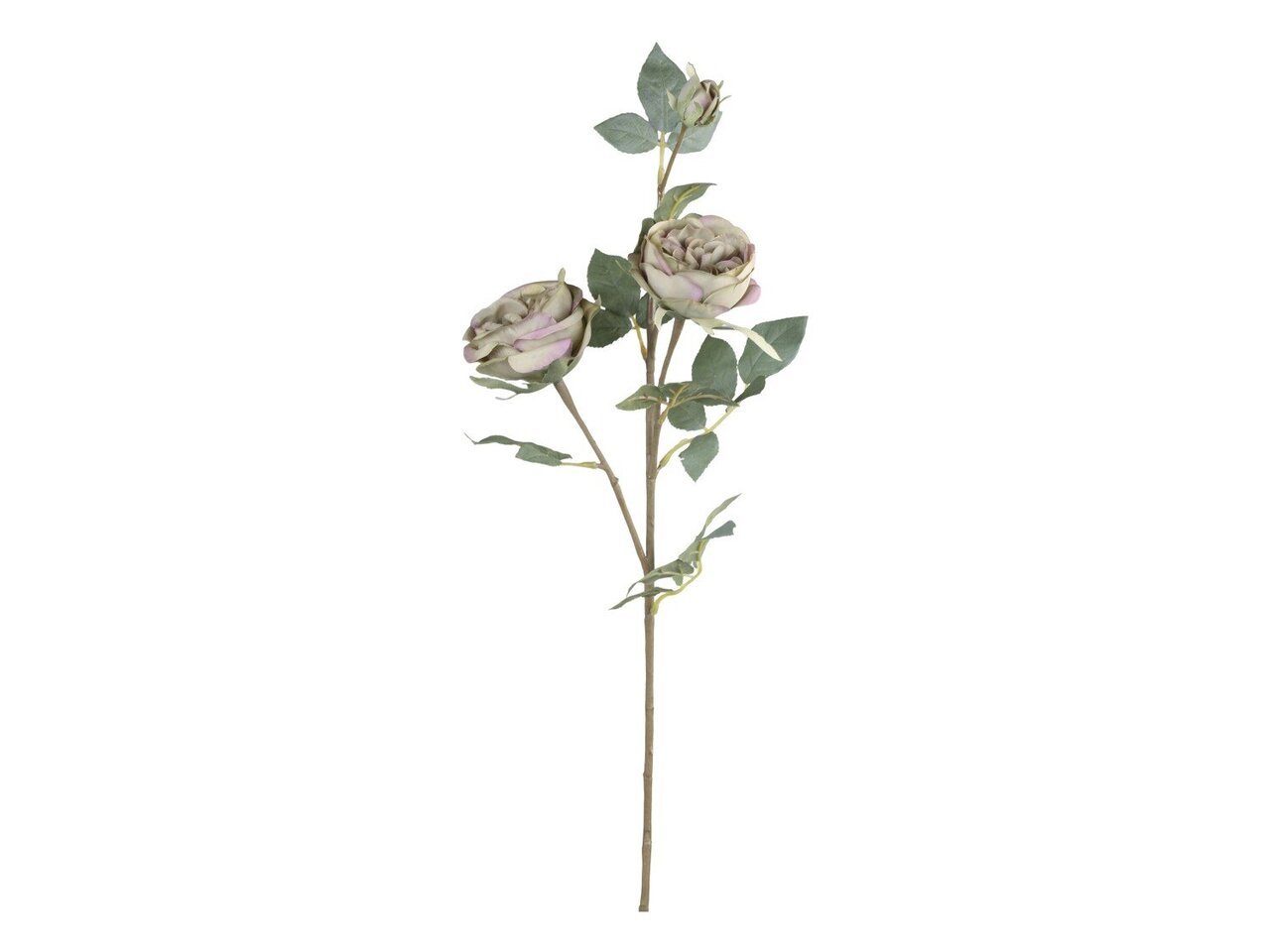 Chic Antique Fleur Rose Preview Image