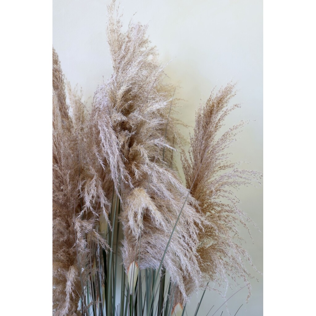 Chic Antique Kunst-Schilfpflanze 170 cm