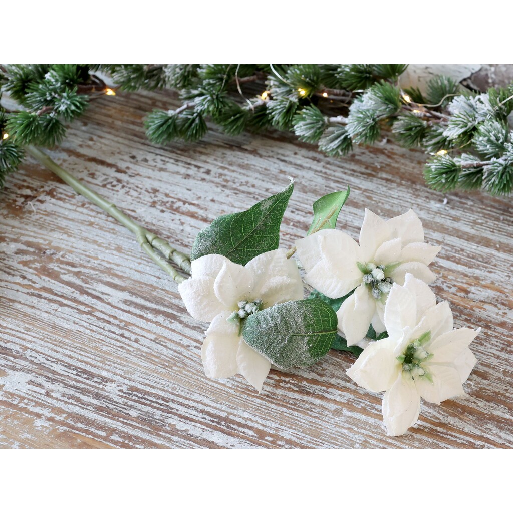 Fleur Weihnachtsstern mit Schnee und Glitzer