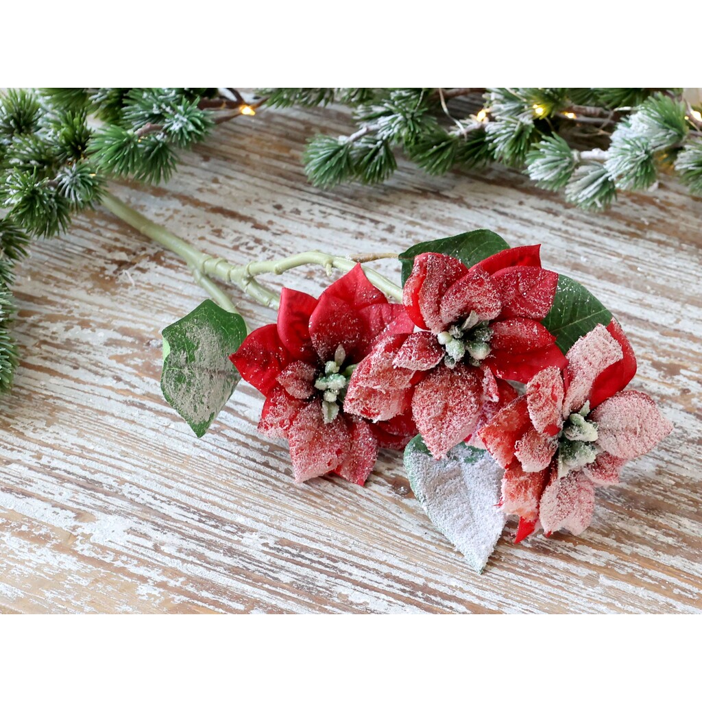 Fleur Weihnachtsstern mit Schnee und Glitzer