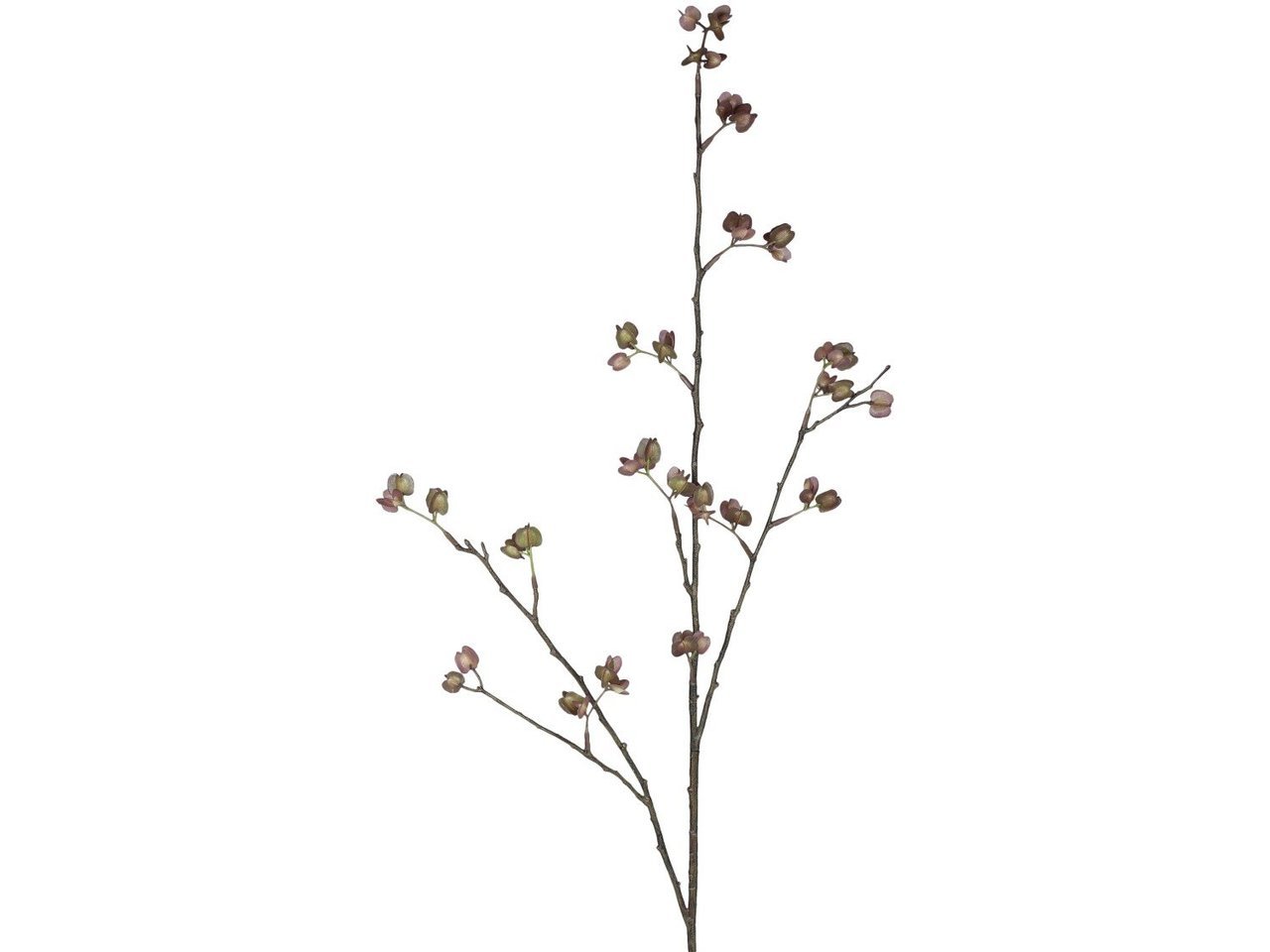 Fleur Zweig mit altrosa Samenkapsel
