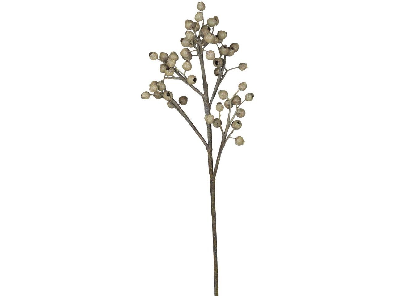Fleur Zweig mit Samenkapsel grün