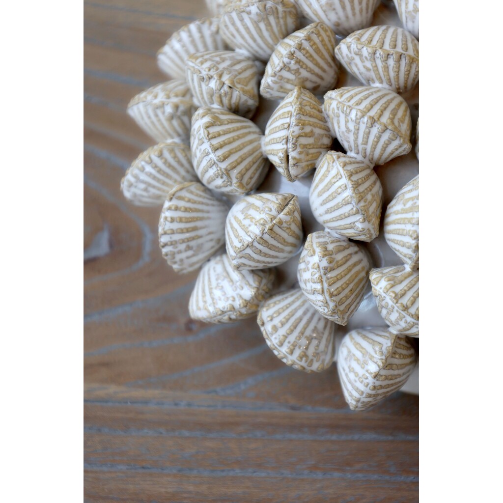 Koralle mit Muscheln für Deko