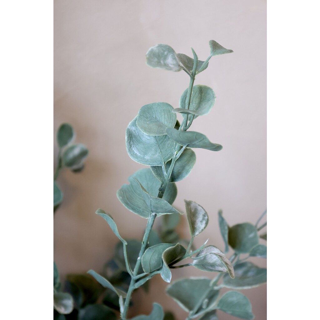 Künstliches Eukalyptusholz