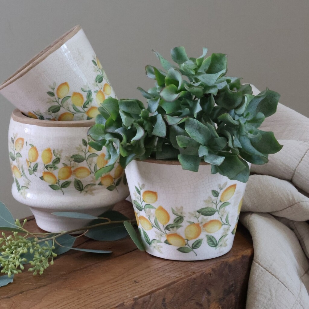 Übertopf Limone Blossom – Vintage Keramik mit Zitronenmotiv