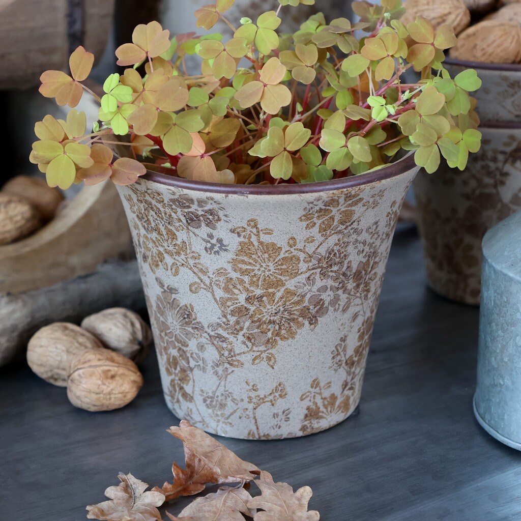 Chic Antique Melun Übertopf Latte Preview Image