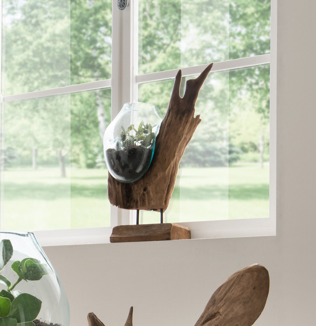 Deko-Wurzel mit Glasvase in Tropfenform Teak-Holz