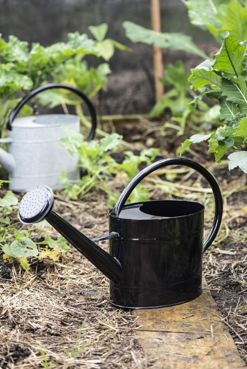Impressionen zu Ib Laursen Gießkanne oval 5 ltr, Bild 7