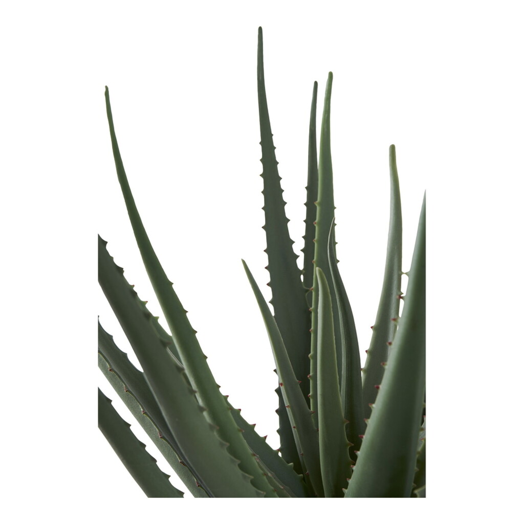Aloe Vera Künstliche Grünpflanze