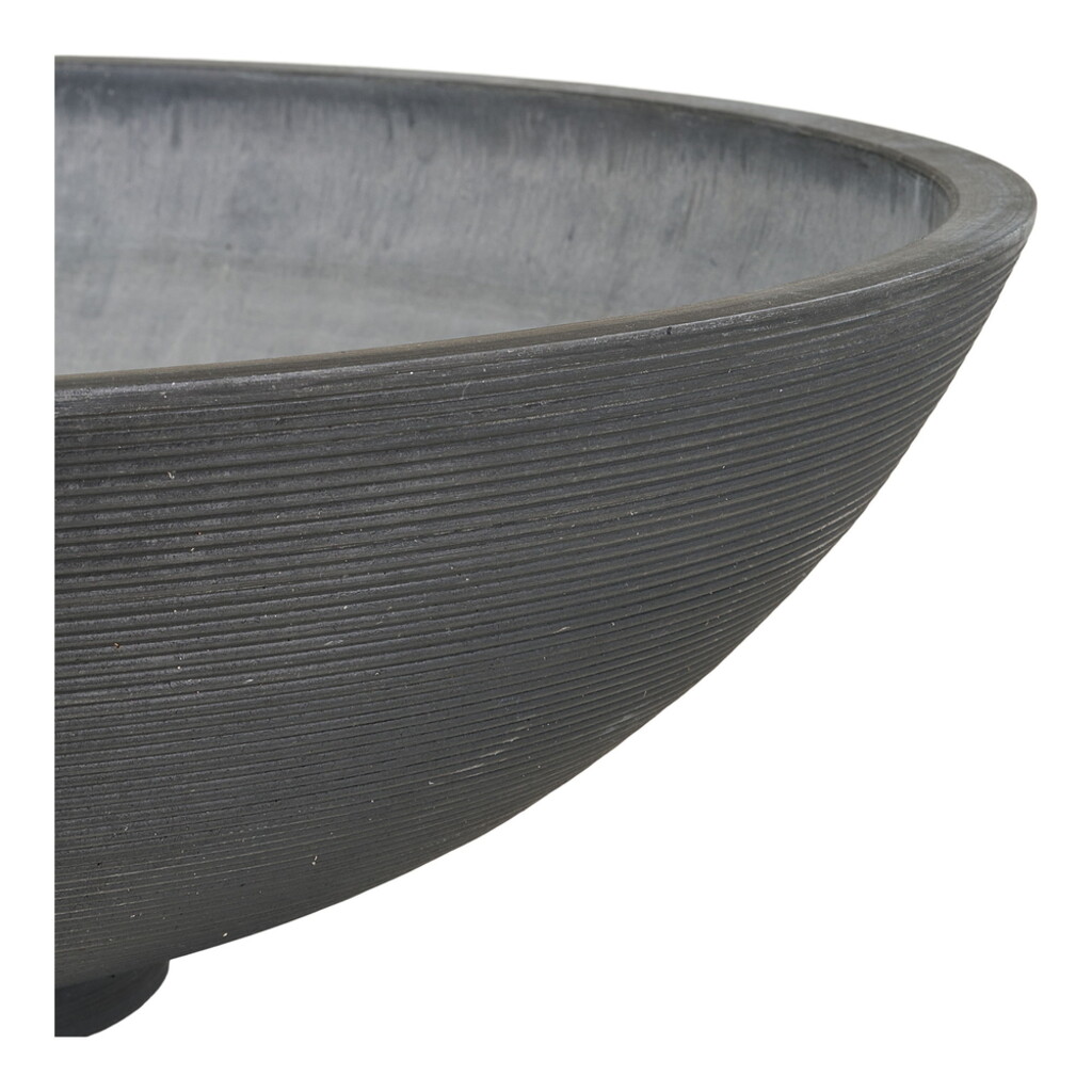 Große Wasserpflanzen Schale Fleuriste