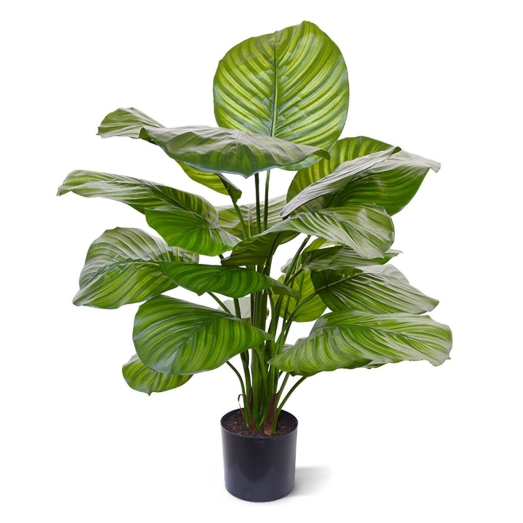 HSM Collection Kunstpflanze Greens Calathea Preview Image