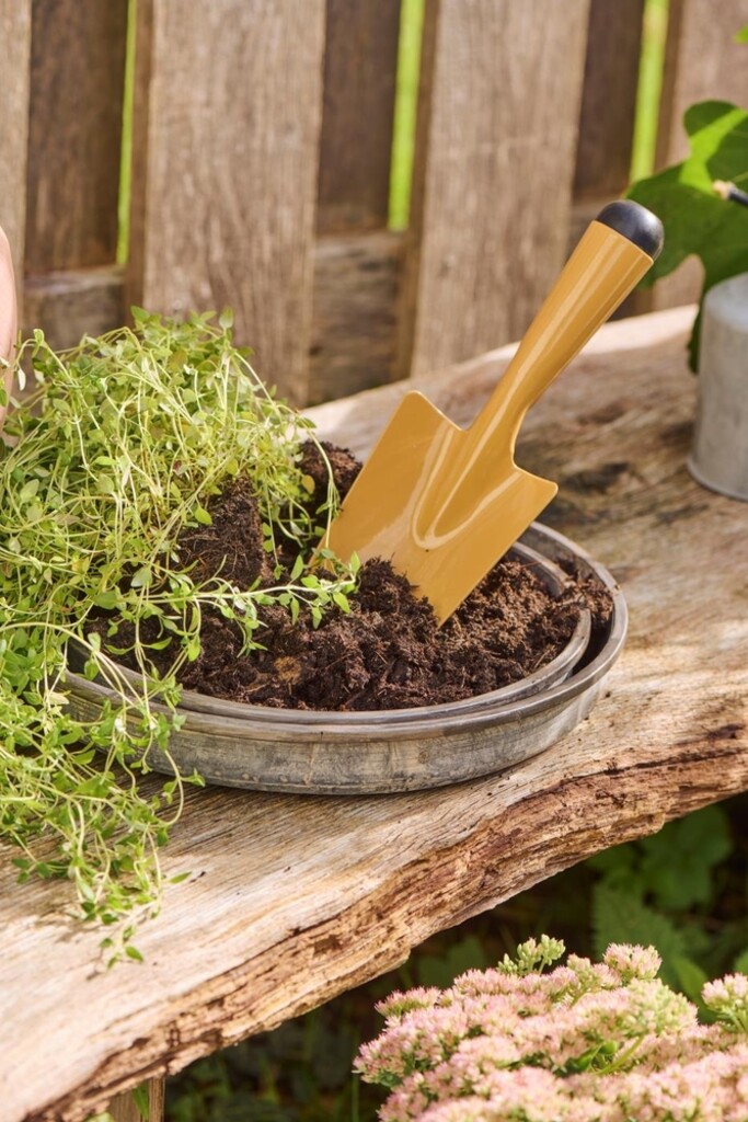 IB Laursen Kerzentablett Pflanztablett Urban Garden - 2er Set online kaufen bei SKANDEKO (Ansicht 2)