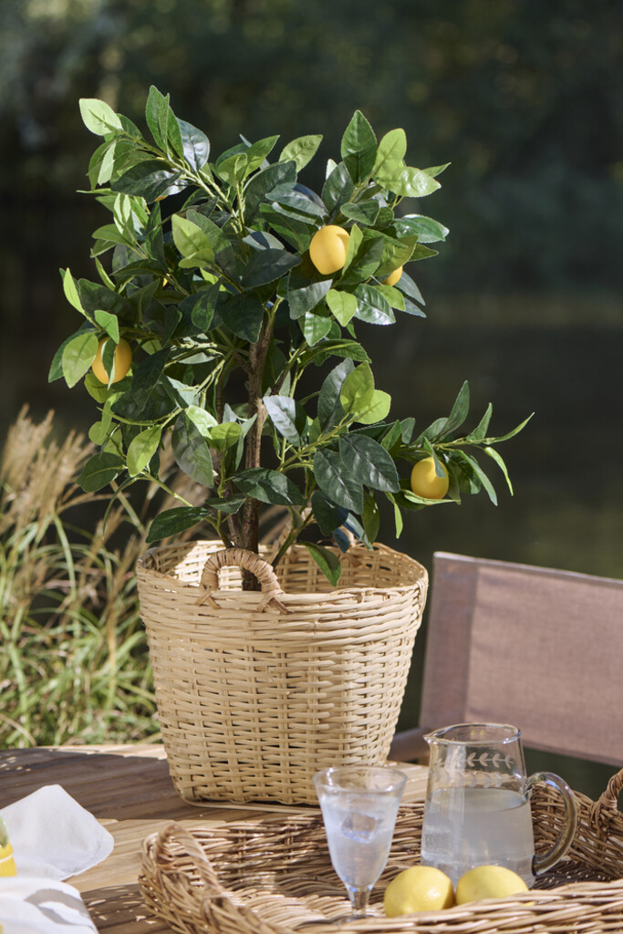 IB Laursen Künstlicher Zitronenbaum in Topf Preview Image