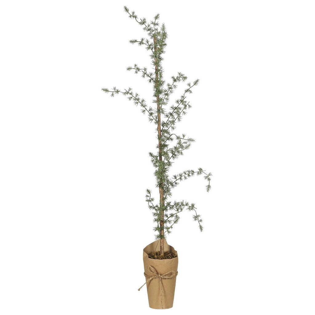 Kunstpflanze Zeder mit Papiertopf