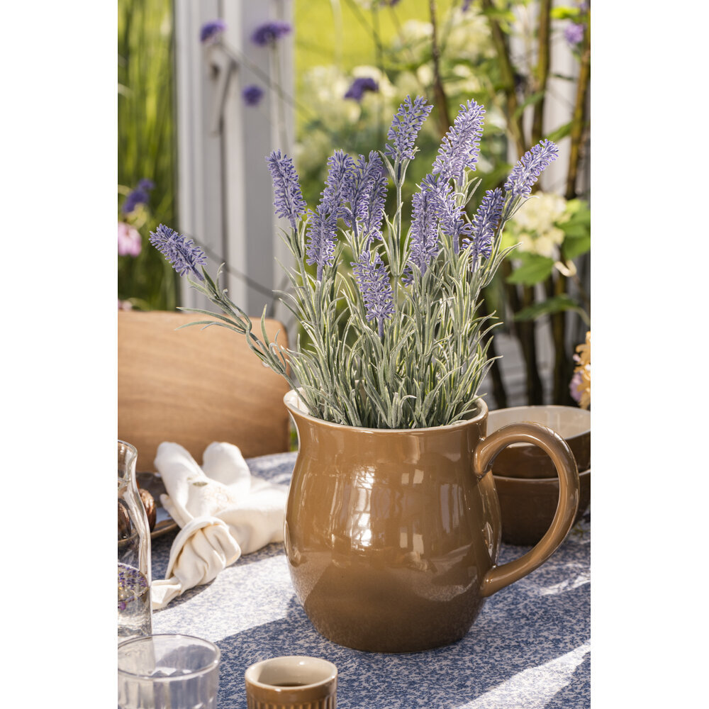 IB Laursen Lavendelpflanze in Topf Preview Image