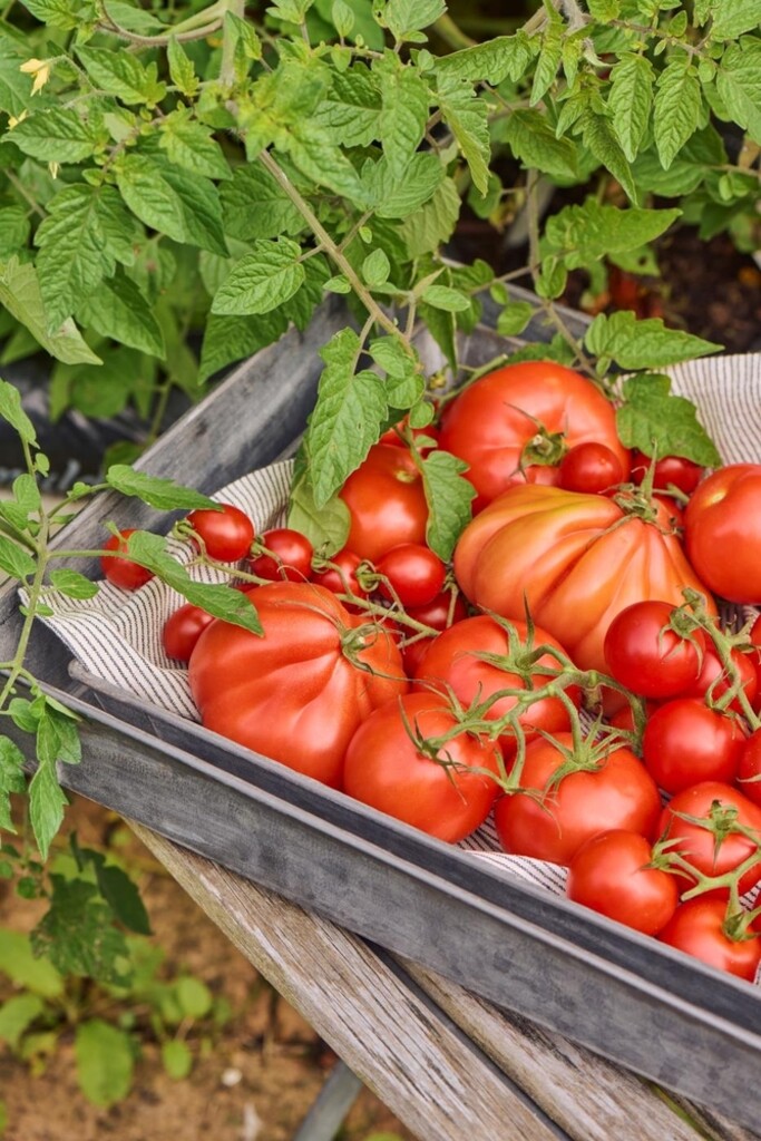 IB Laursen Urban Garden Tablett-Set 2er | Skandinavische Deko online kaufen bei SKANDEKO (Ansicht 2)