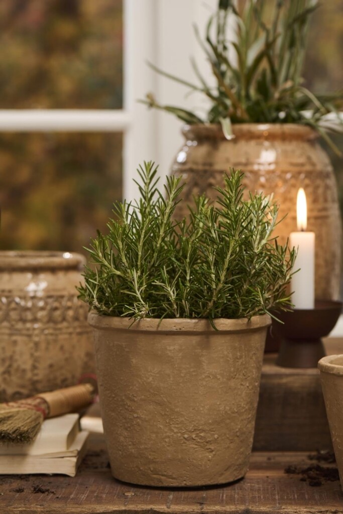 IB Laursen Topf konisch Saga | Skandinavisch